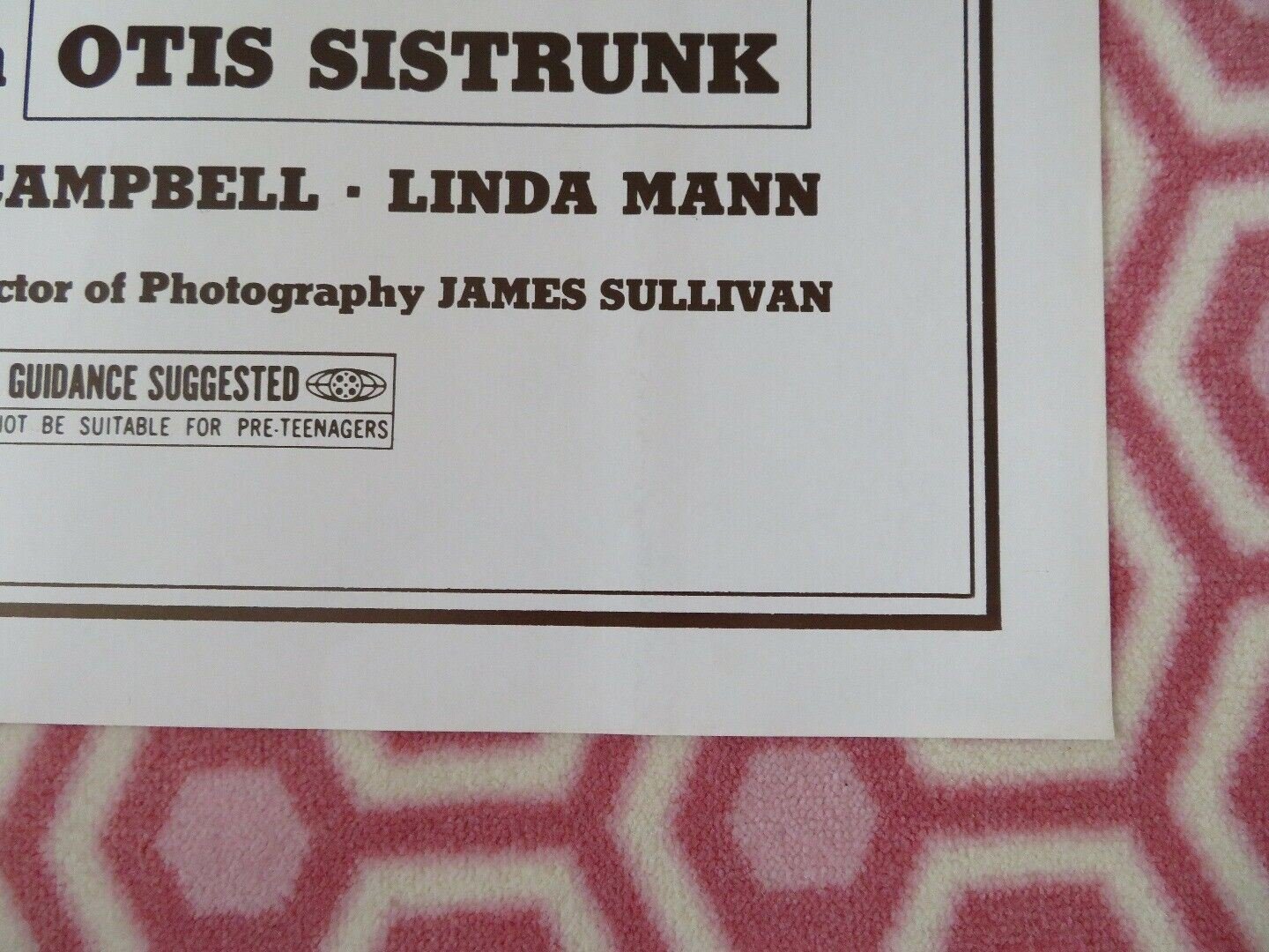 DOC HOOKERS BUNCH 1976 US ONE SHEET POSTER RARE DUB TAYLOR BUCK BELCHER - Rendezvous Cinema