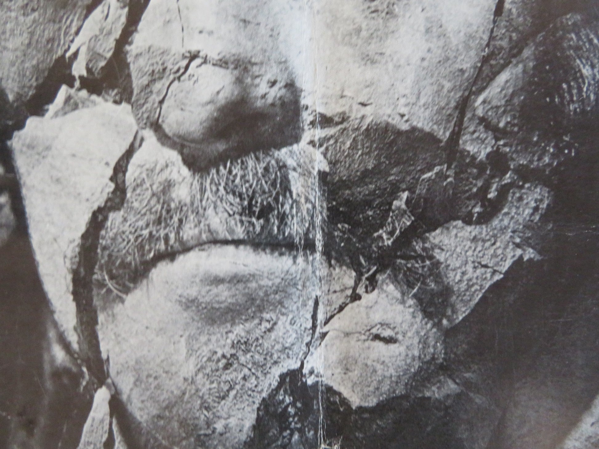 DOC - STYLE A US HALF SHEET (22"x 28") POSTER STACY KEACH FAYE DUNAWAY 1971 Rendezvous Cinema Movie posters