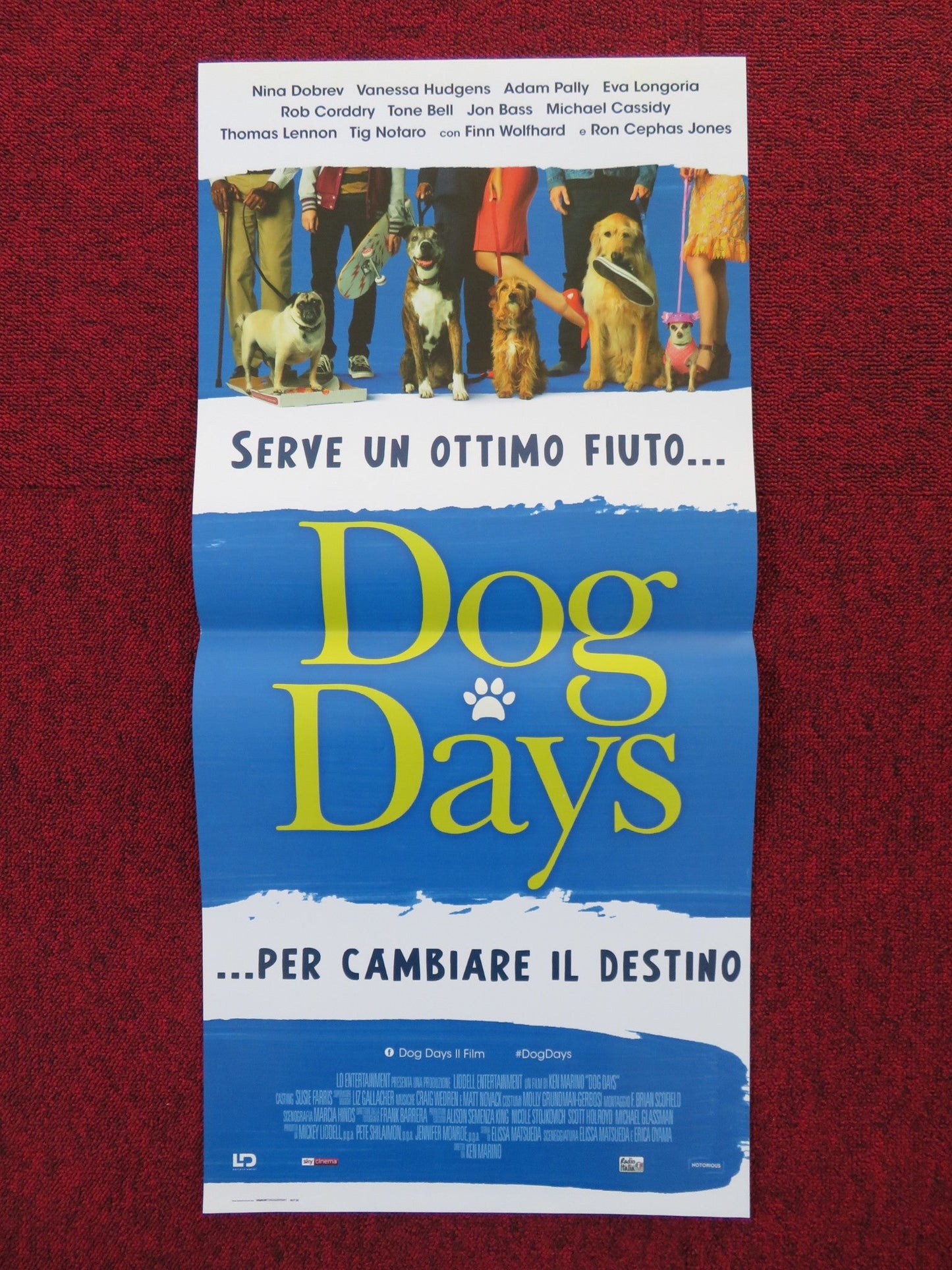DOG DAYS ITALIAN LOCANDINA POSTER NINA DOBREV VANESSA HUDGENS 2018 Rendezvous Cinema Movie posters