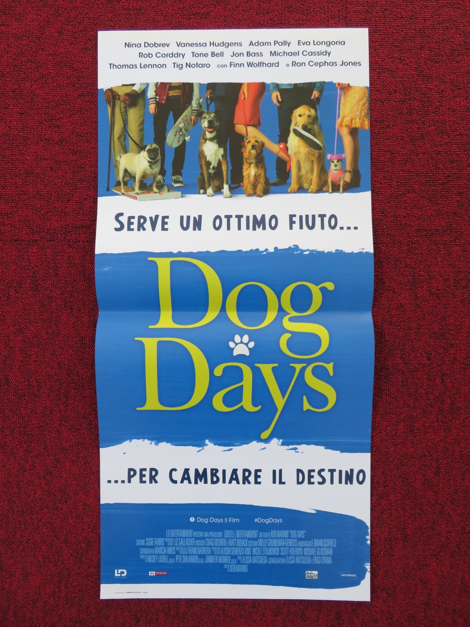 DOG DAYS ITALIAN LOCANDINA POSTER NINA DOBREV VANESSA HUDGENS 2018 Rendezvous Cinema Movie posters