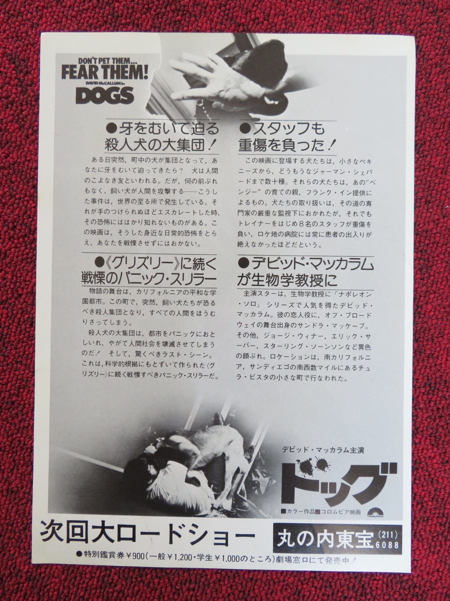 DOGS JAPANESE CHIRASHI (B5) POSTER DAVID MCCALLUM SANDRA MCCABE 1977 Rendezvous Cinema Movie posters