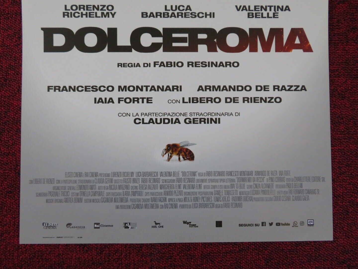 DOLCEROMA ITALIAN LOCANDINA (26.5"x12.5") POSTER LORENZO RICHELMY 2019 Rendezvous Cinema Movie posters