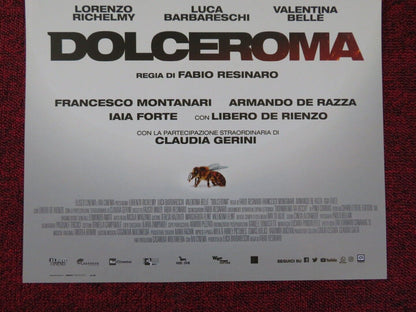 DOLCEROMA ITALIAN LOCANDINA (26.5"x12.5") POSTER LORENZO RICHELMY 2019 Rendezvous Cinema Movie posters
