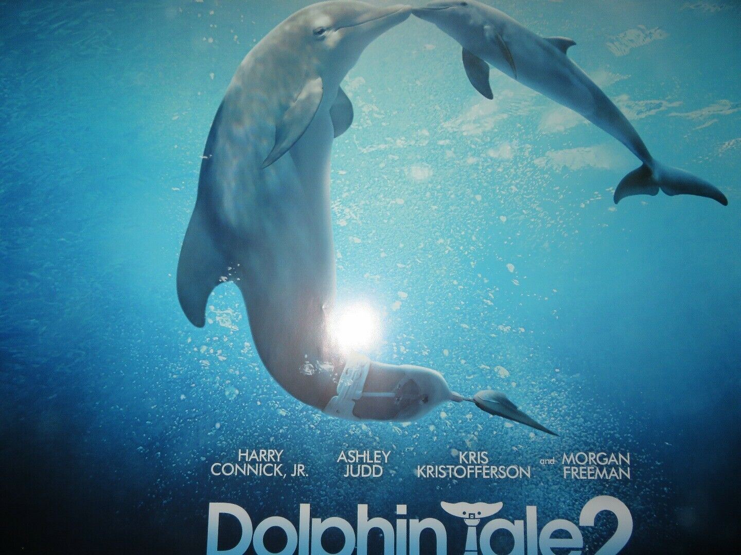 DOLPHIN TALE 2 QUAD (30"x 40") ROLLED POSTER HARRY CONNICK JR. MORGAN FREEMAN Movie posters