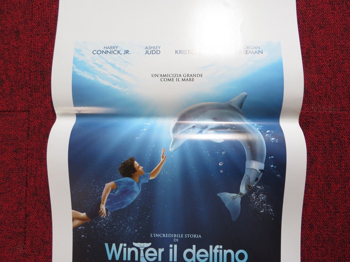 DOLPHIN TALE ITALIAN LOCANDINA (27.5"x13") POSTER HARRY CONNICK JR. 2011 - Rendezvous Cinema
