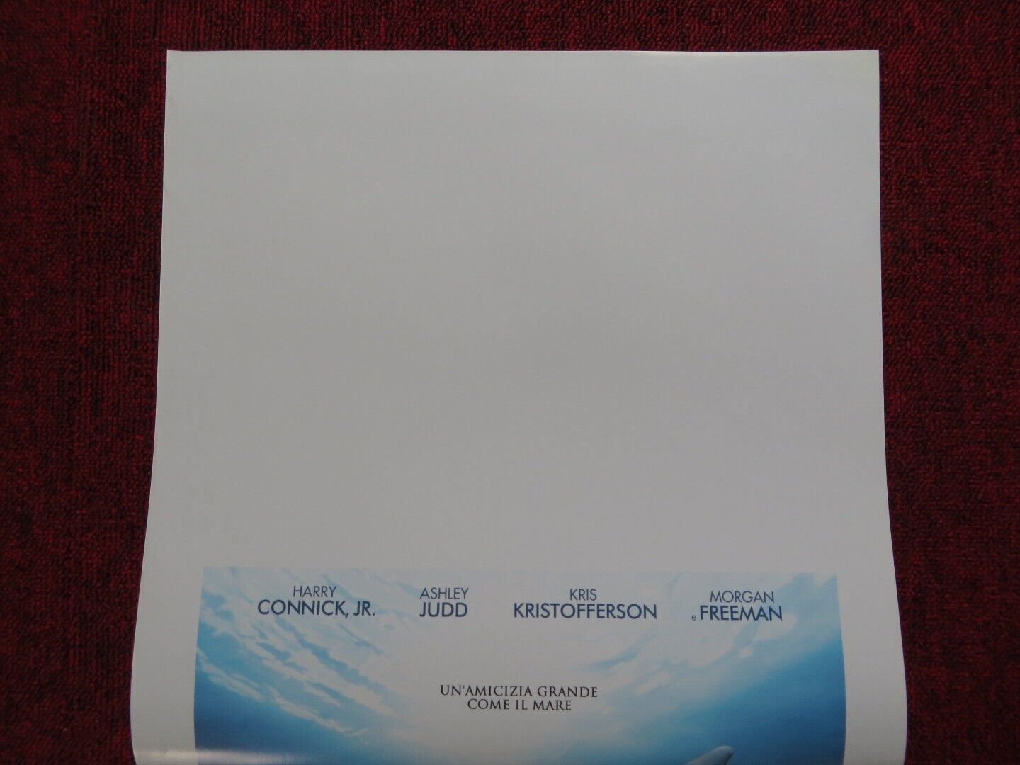 DOLPHIN TALE ITALIAN LOCANDINA (27.5"x13") POSTER HARRY CONNICK JR. 2011 - Rendezvous Cinema