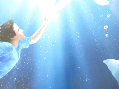 DOLPHIN TALE UK QUAD (30"x 40") ROLLED POSTER HARRY CONNICK JR. ASHLEY JUDD 2011 Rendezvous Cinema Movie posters