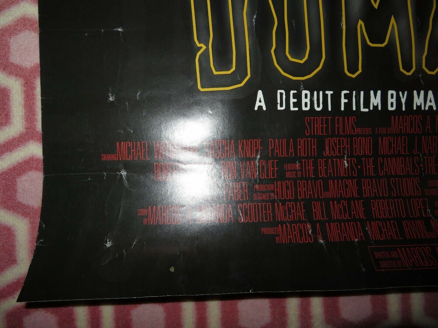 DOMAIN/ BLAZIN' US ONE SHEET ROLLED POSTER MICHAEL WEHRHAHN 2001 - Rendezvous Cinema
