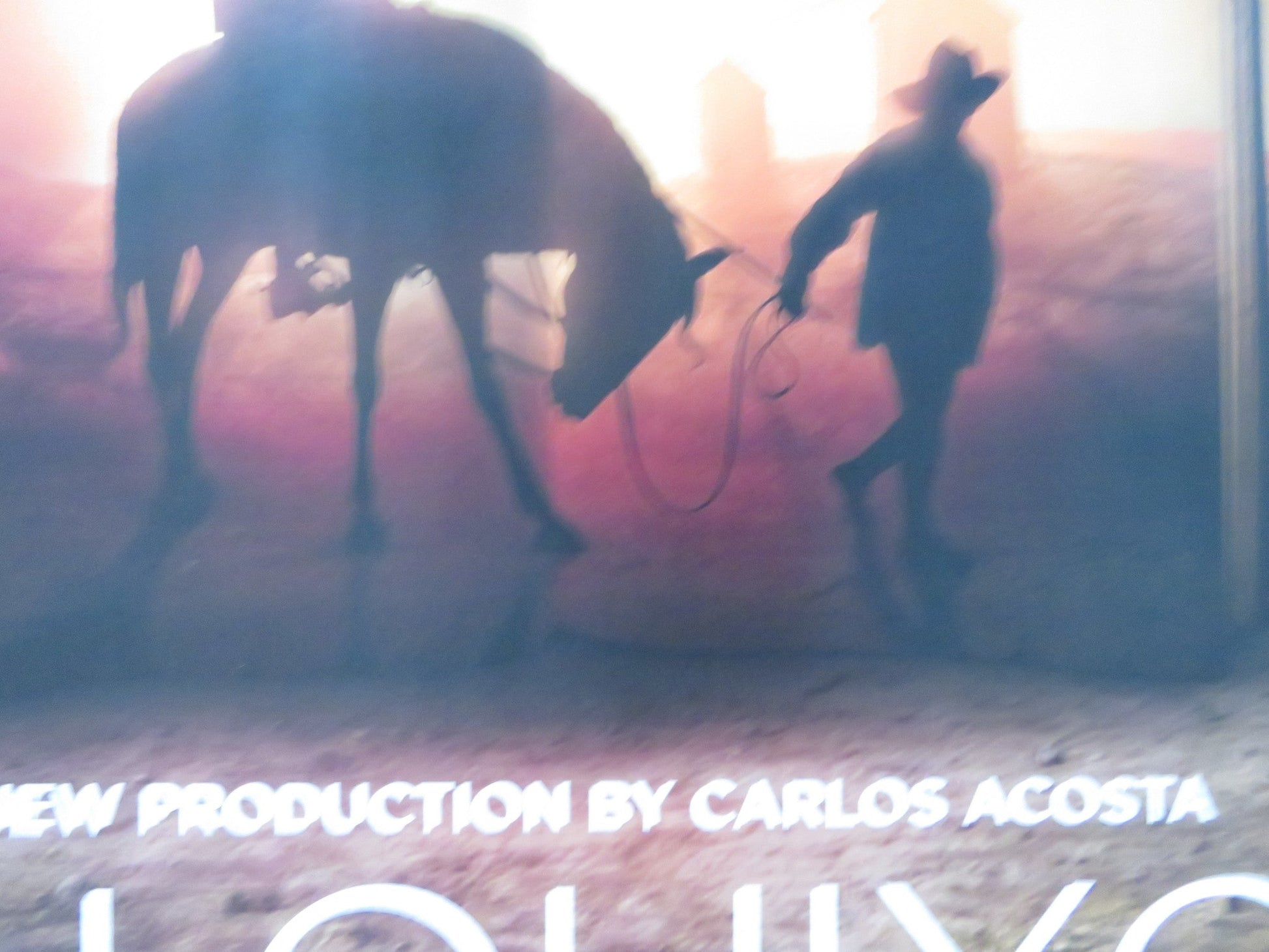 DON QUIXOTE UK QUAD ROLLED POSTER CARLOS ACOSTA 2013 Rendezvous Cinema Movie posters