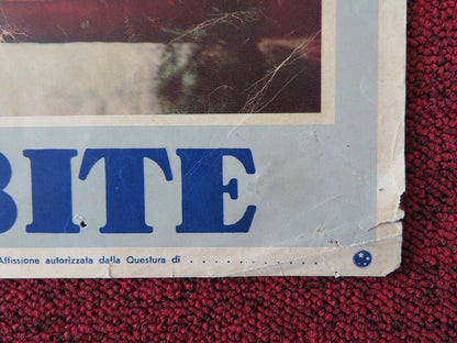 DONNE PROIBITE / ANGELS OF DARKNESS ITALIAN FOTOBUSTA POSTER LINDA DARNELL 1954 Movie posters