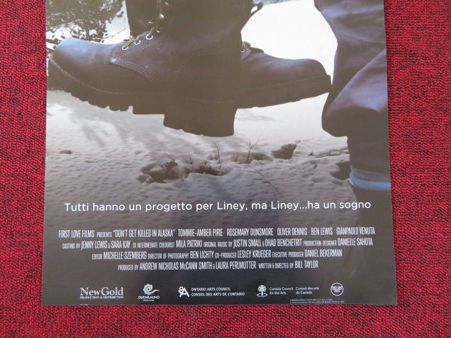 DON'T GET KILLED IN ALASKA ITALIAN LOCANDINA (26.5"x12.5") POSTER 2014 Rendezvous Cinema Movie posters