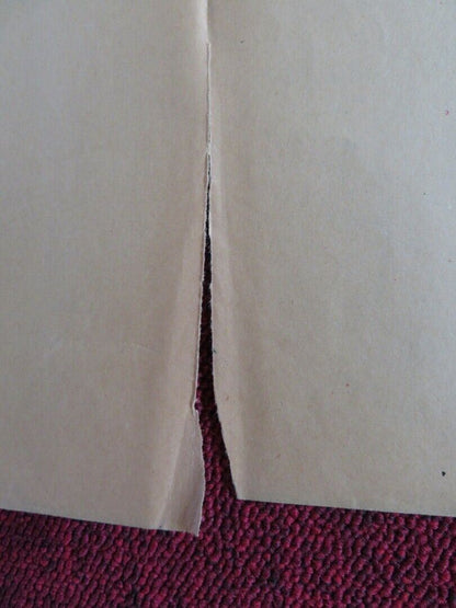 DON'T JUST STAND THERE FOLDED ARGENTINA ONE SHEET POSTER ROBERT WAGNER MARY 1968 Movie posters