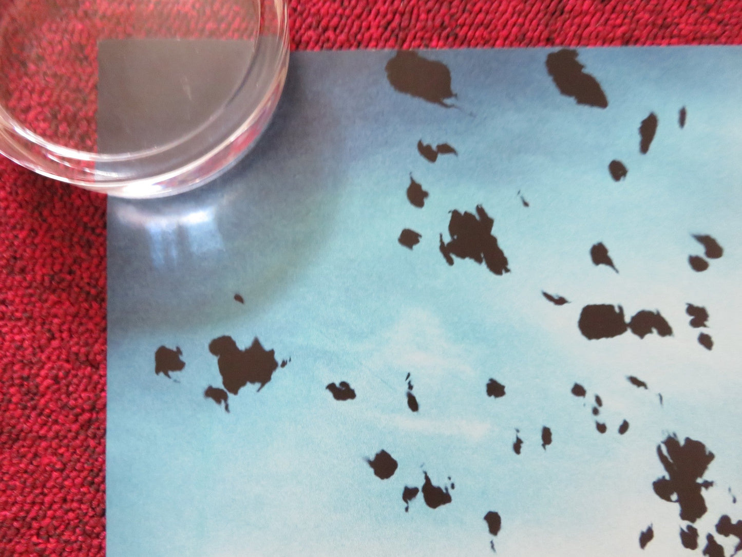 DORIAN GRAY UK QUAD ROLLED POSTER BEN BARNES COLIN FIRTH 2009 Rendezvous Cinema Movie posters