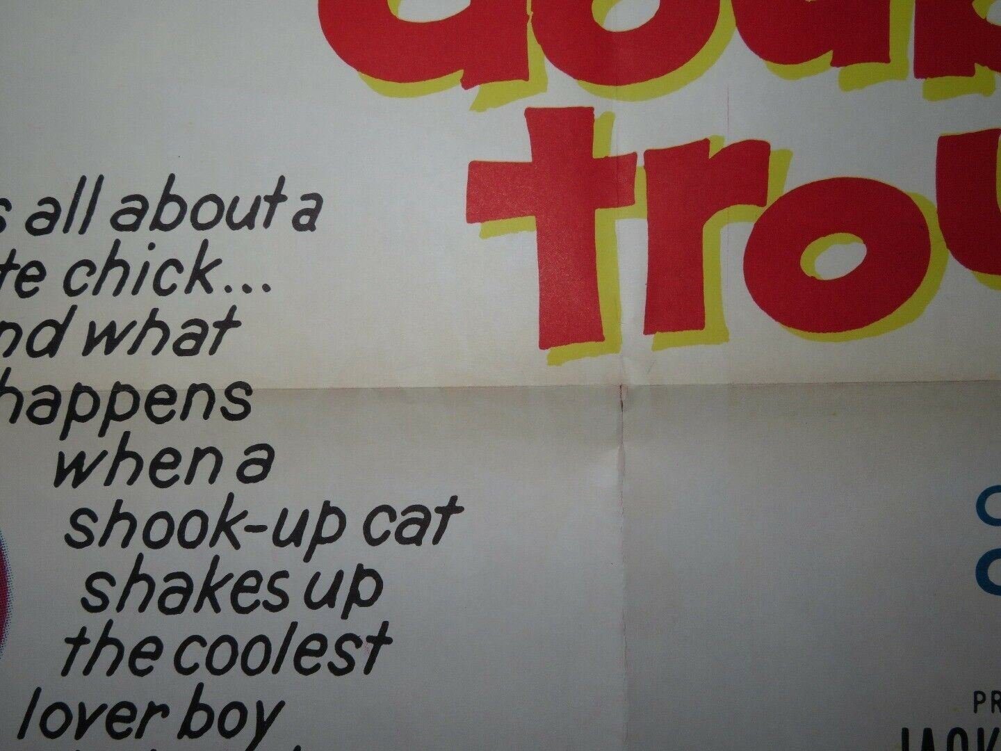 DOUBLE TROUBLE /SWINGIN' ALONG FOLDED US ONE SHEET POSTER TOMMY NONAN 1961 Movie posters