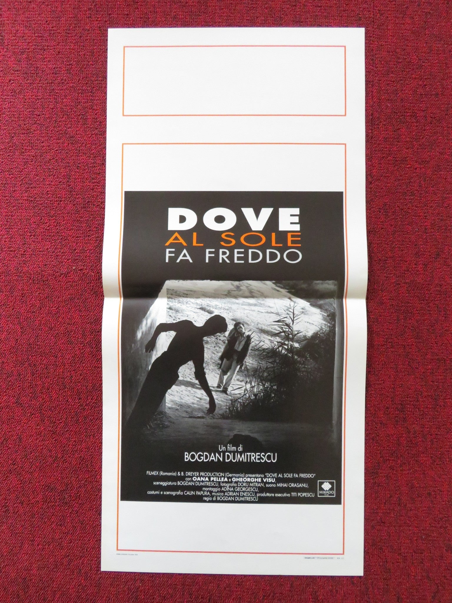 DOVE AL SOLE FA FREDDO ITALIAN LOCANDINA POSTER OANA PELLEA GHEORGHE VISU 1993 Rendezvous Cinema Movie posters