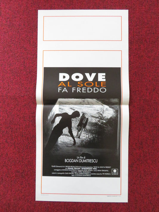 DOVE AL SOLE FA FREDDO ITALIAN LOCANDINA POSTER OANA PELLEA GHEORGHE VISU 1993 Rendezvous Cinema Movie posters