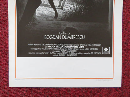 DOVE AL SOLE FA FREDDO ITALIAN LOCANDINA POSTER OANA PELLEA GHEORGHE VISU 1993 Rendezvous Cinema Movie posters