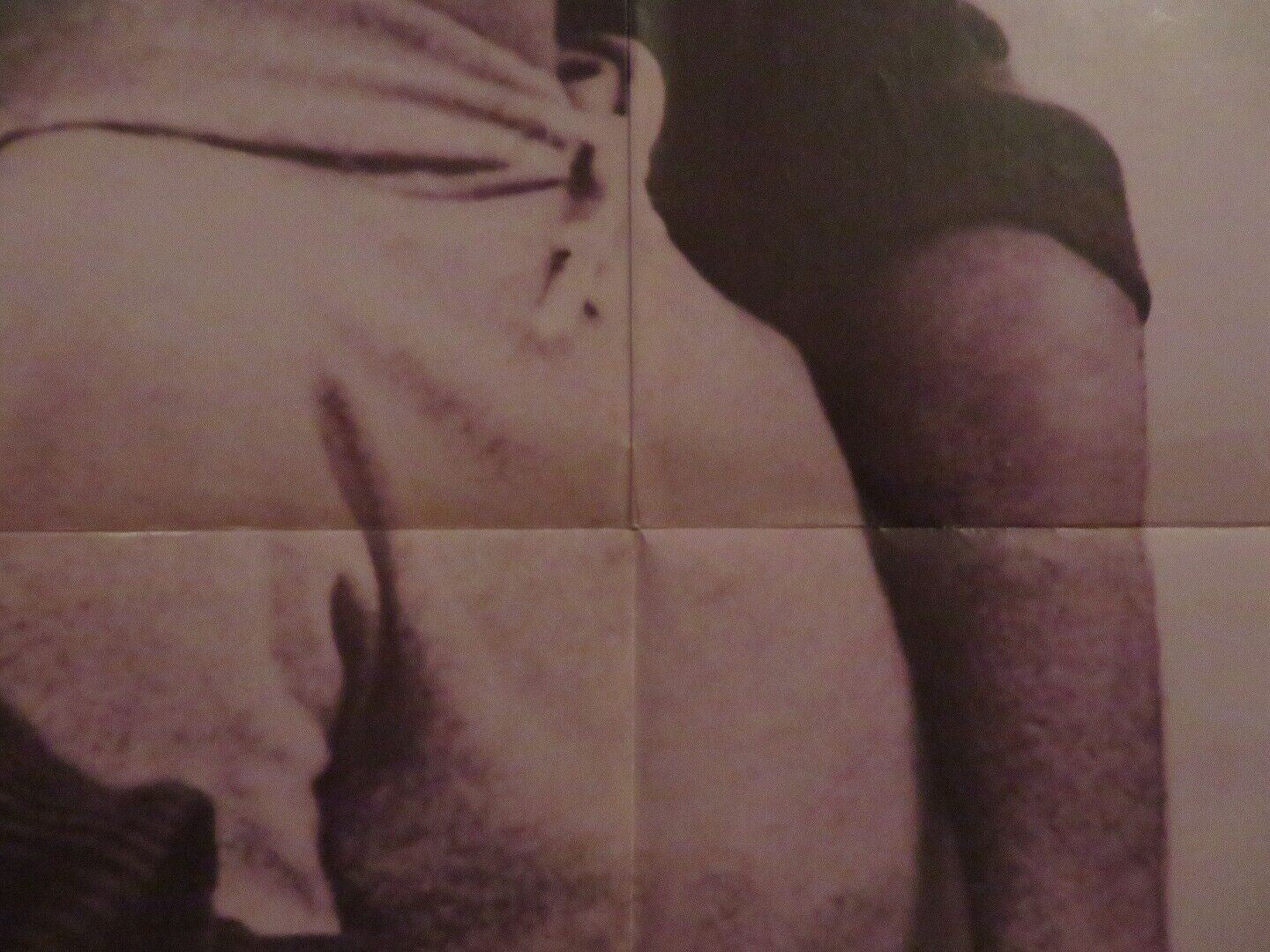 DOVE FOLDED US ONE SHEET POSTER J. BOTTOMS DEBORAH RAFFIN 1974 Movie posters