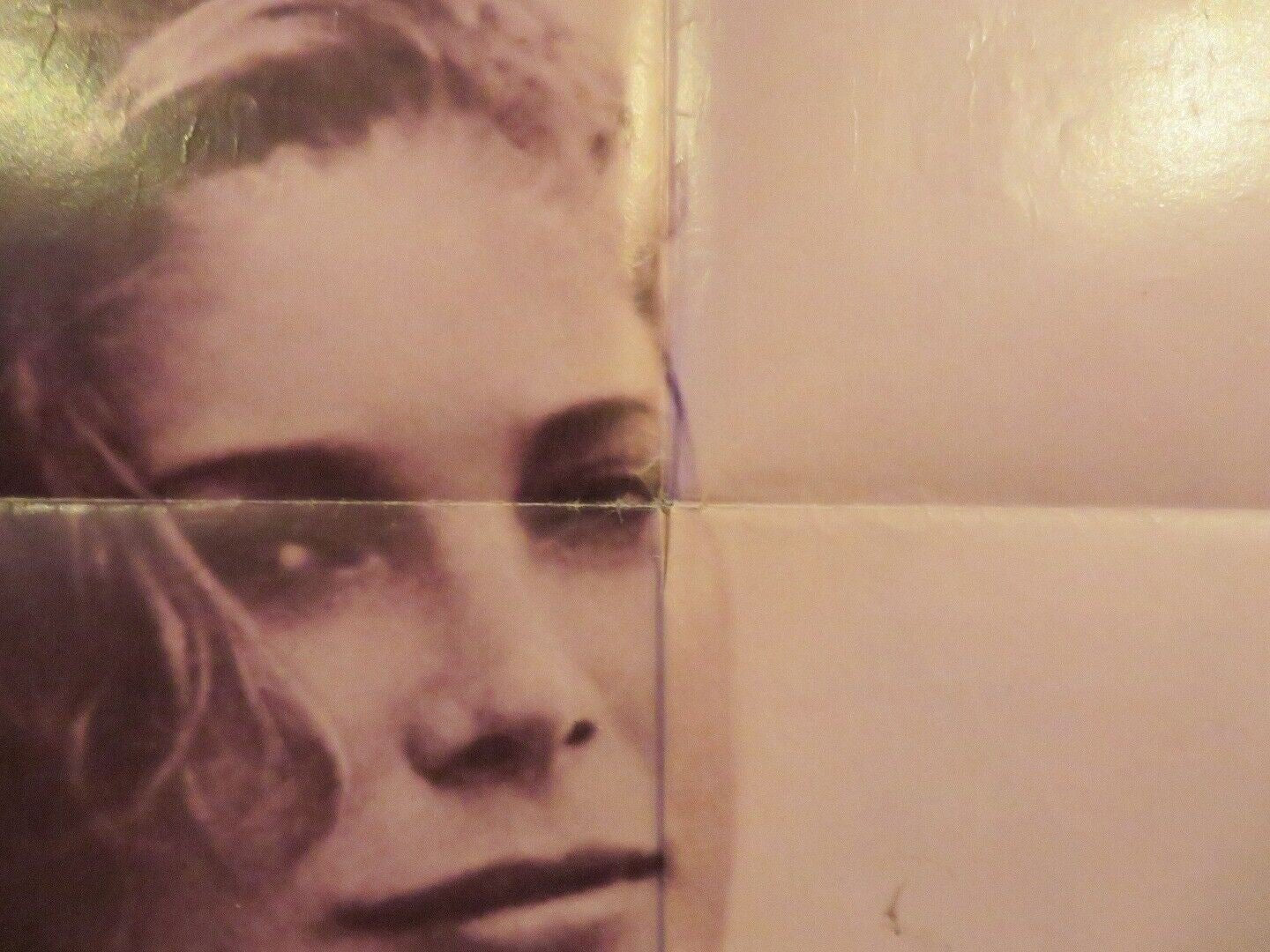 DOVE FOLDED US ONE SHEET POSTER J. BOTTOMS DEBORAH RAFFIN 1974 Movie posters