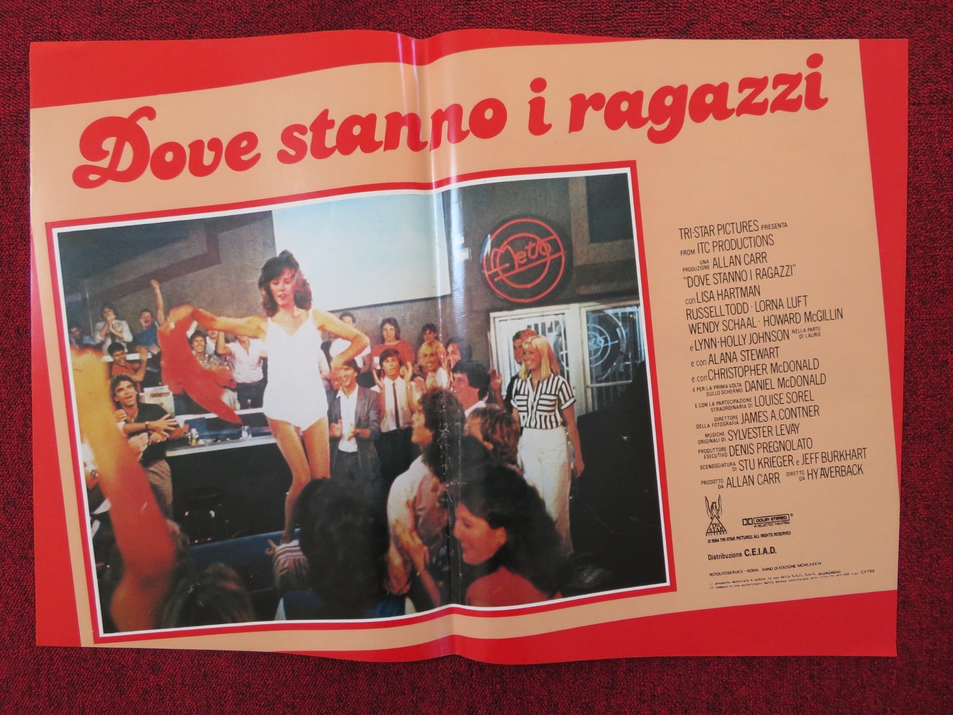 DOVE STANNO I RAGAZZI - C ITALIAN FOTOBUSTA POSTER LISA HARTMAN LORNA LUFT 1984 Rendezvous Cinema Movie posters