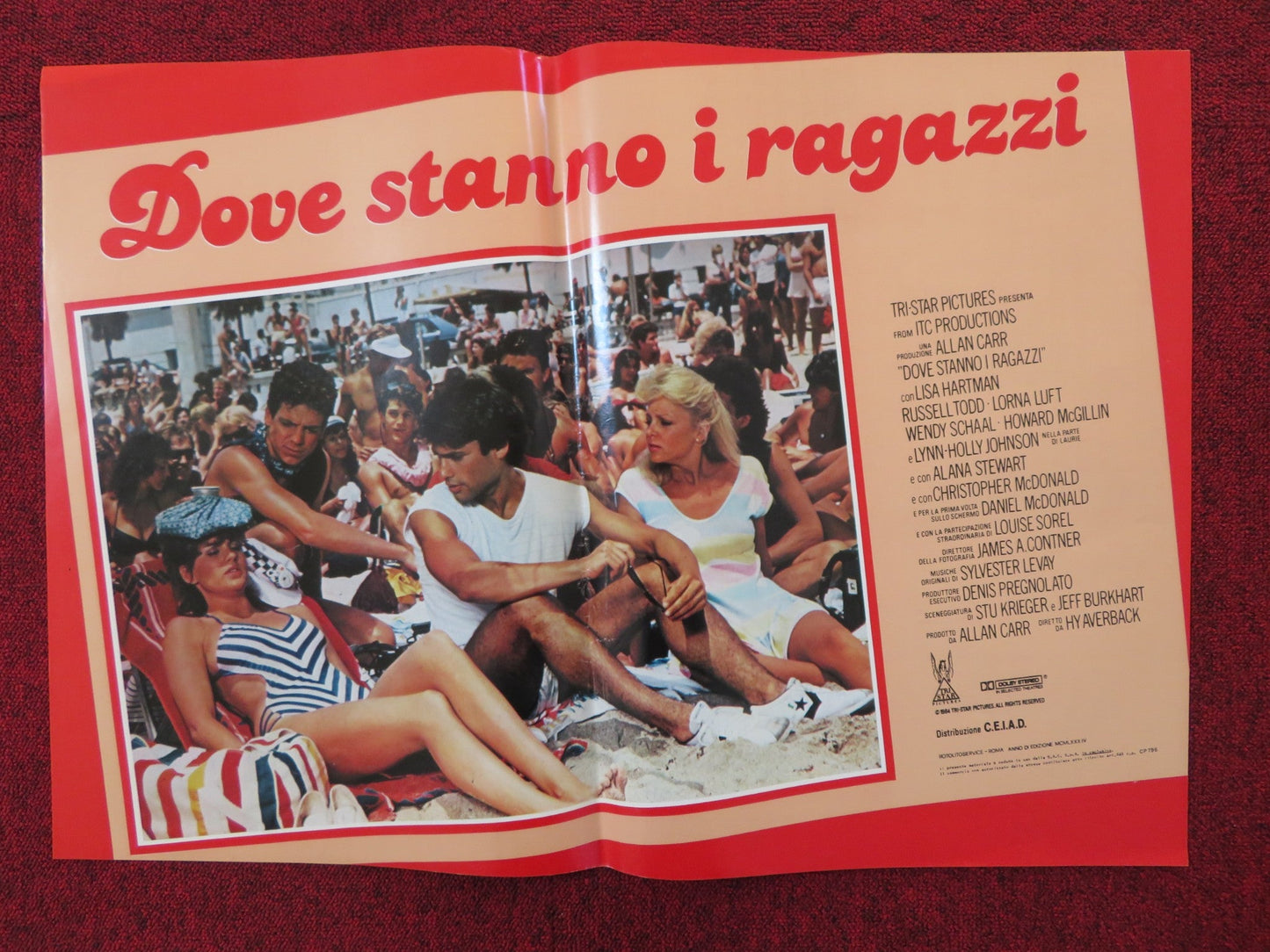 DOVE STANNO I RAGAZZI - D ITALIAN FOTOBUSTA POSTER LISA HARTMAN LORNA LUFT 1984 Rendezvous Cinema Movie posters