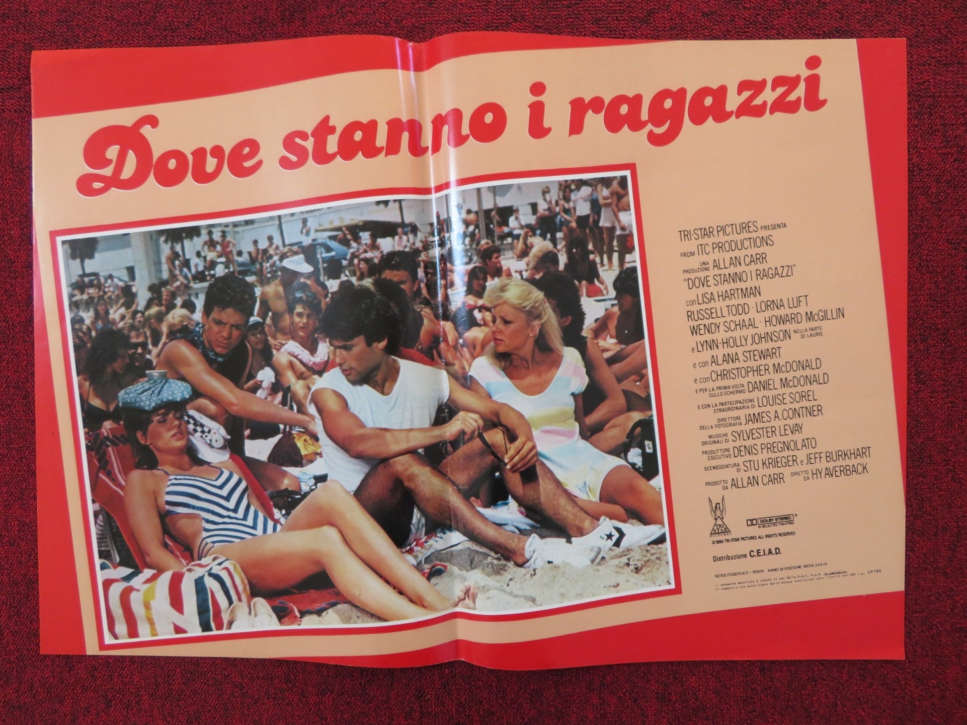 DOVE STANNO I RAGAZZI - D ITALIAN FOTOBUSTA POSTER LISA HARTMAN LORNA LUFT 1984 Rendezvous Cinema Movie posters