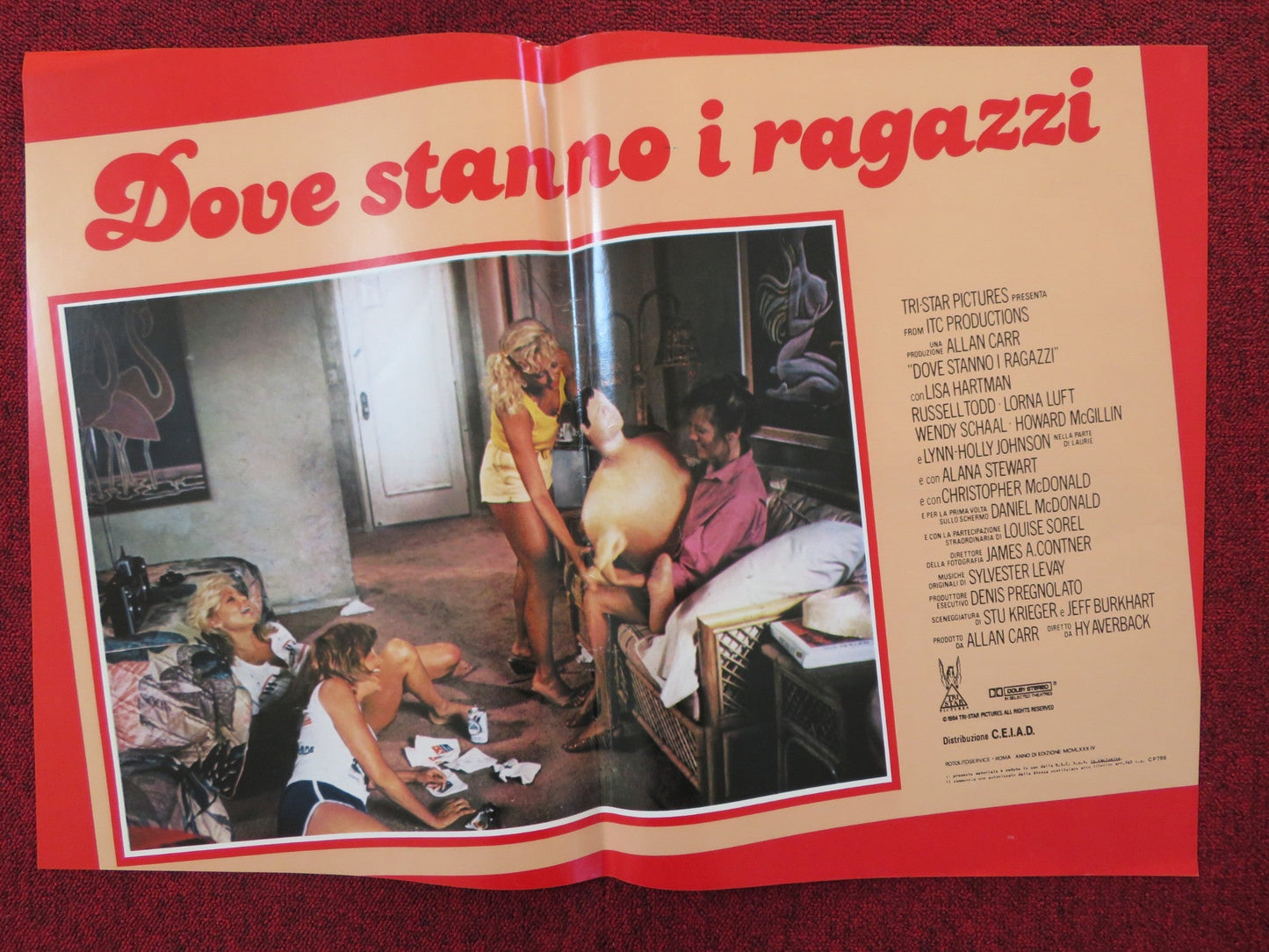 DOVE STANNO I RAGAZZI - F ITALIAN FOTOBUSTA POSTER LISA HARTMAN LORNA LUFT 1984 Rendezvous Cinema Movie posters