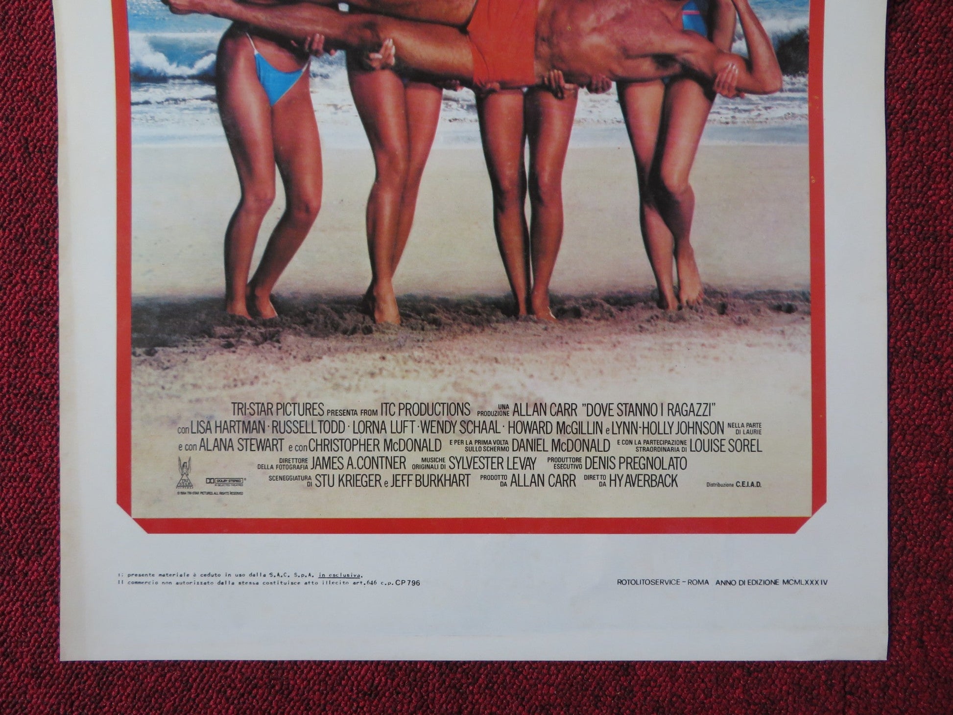 DOVE STANNO I RAGAZZI ITALIAN LOCANDINA POSTER LISA HARTMAN RUSSELL TODD 1984 Rendezvous Cinema Movie posters