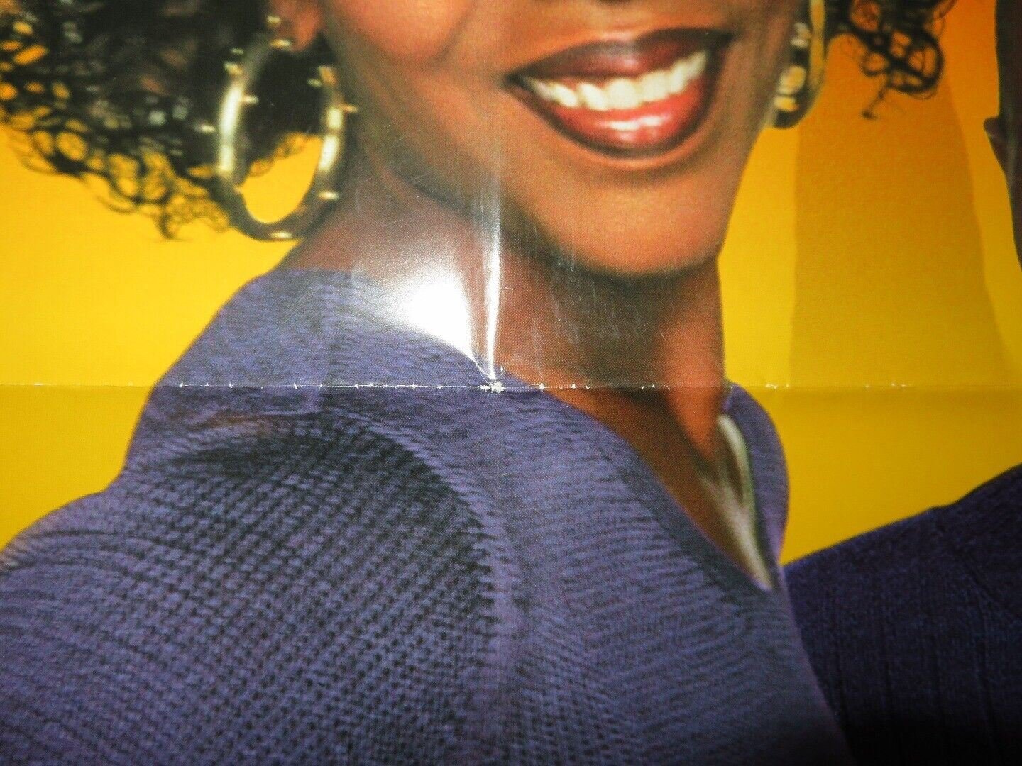 DOWN IN THE DELTA FOLDED US ONE SHEET POSTER WESLEY SNIPES ALFRE WOODARD 1998 Movie posters