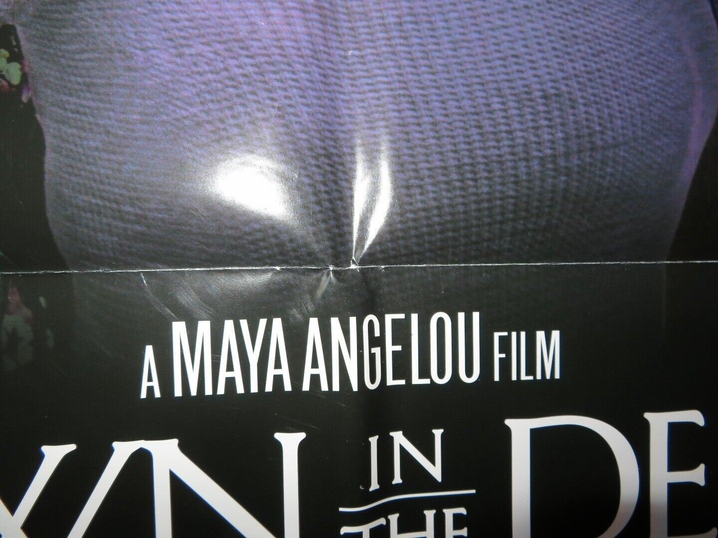DOWN IN THE DELTA FOLDED US ONE SHEET POSTER WESLEY SNIPES ALFRE WOODARD 1998 Movie posters
