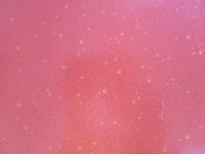 DOWN IN THE DELTA US ONE SHEET ROLLED POSTER ALFRE WOODARD AL FREEMAN JR. 1998 Rendezvous Cinema Movie posters