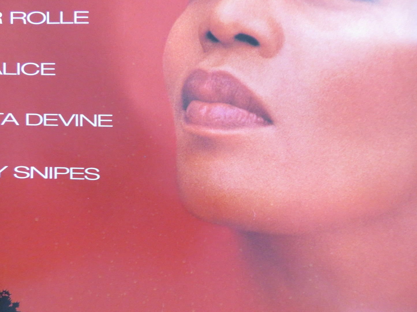 DOWN IN THE DELTA US ONE SHEET ROLLED POSTER ALFRE WOODARD AL FREEMAN JR. 1998 Rendezvous Cinema Movie posters