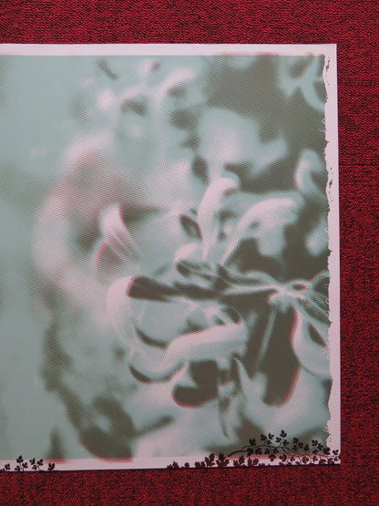 DOWNPILOT LIKE YOU BELIEVE IT GERMAN MUSIC PROMO ALBUM POSTER 2006 Rendezvous Cinema Movie posters