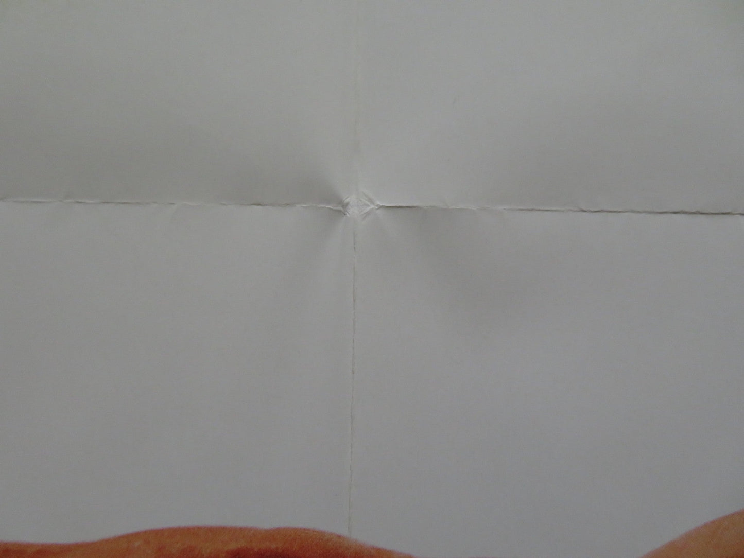 DRAGON: THE BRUCE LEE STORY FOLDED US ONE SHEET POSTER ROB COHEN 1993 Rendezvous Cinema Movie posters