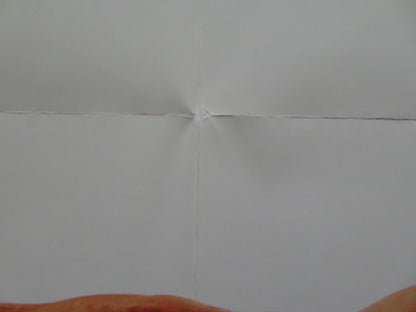 DRAGON: THE BRUCE LEE STORY FOLDED US ONE SHEET POSTER ROB COHEN 1993 Rendezvous Cinema Movie posters