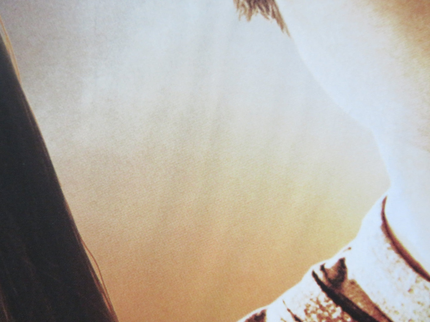 DRAGONBALL EVOLUTION UK QUAD ROLLED POSTER JUSTIN CHATWIN CHOW YUN - FAT 2009 Rendezvous Cinema Movie posters