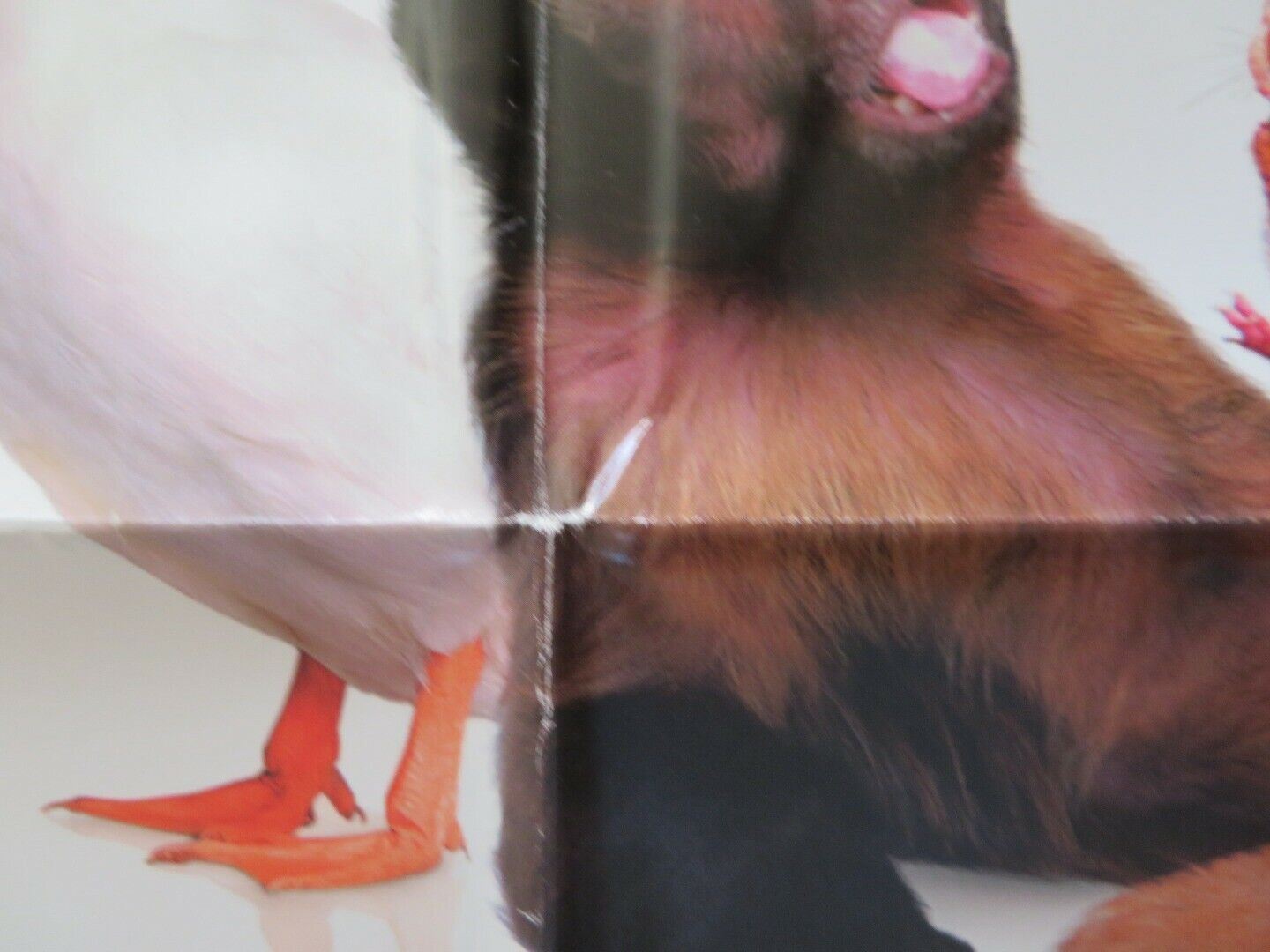 DR.DOLITTLE FOLDED US ONE SHEET POSTER EDDIE MURPHY 1998 Movie posters