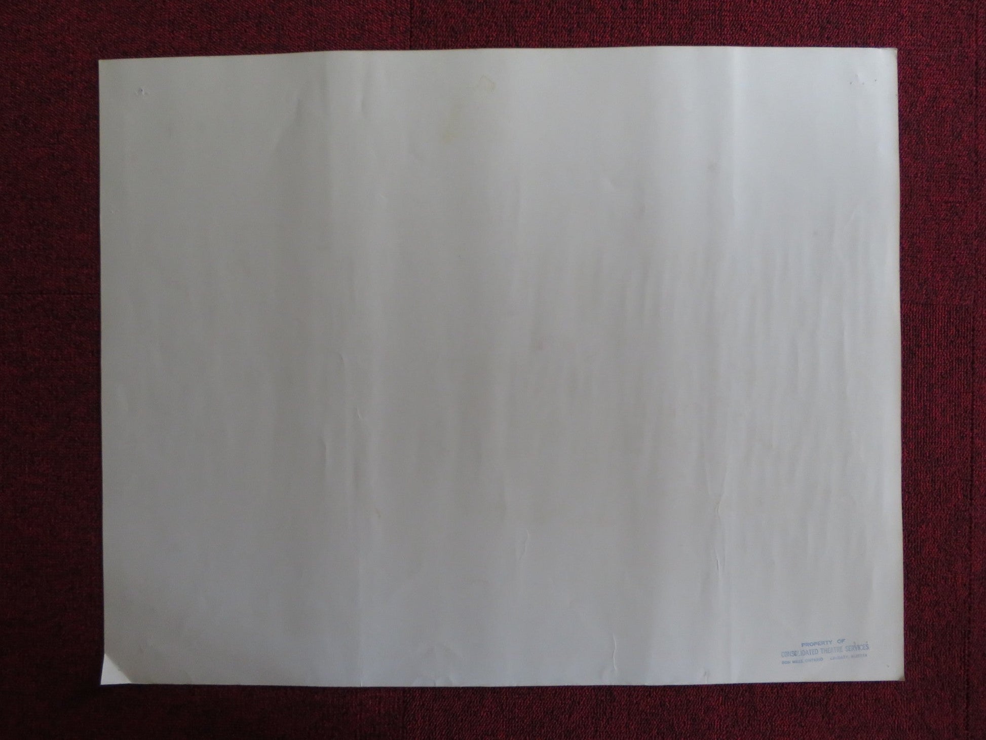 DRIVE - IN US HALF SHEET (22"x 28") POSTER LISA OZ GARY LEE CAVAGNARO 1976 Rendezvous Cinema Movie posters