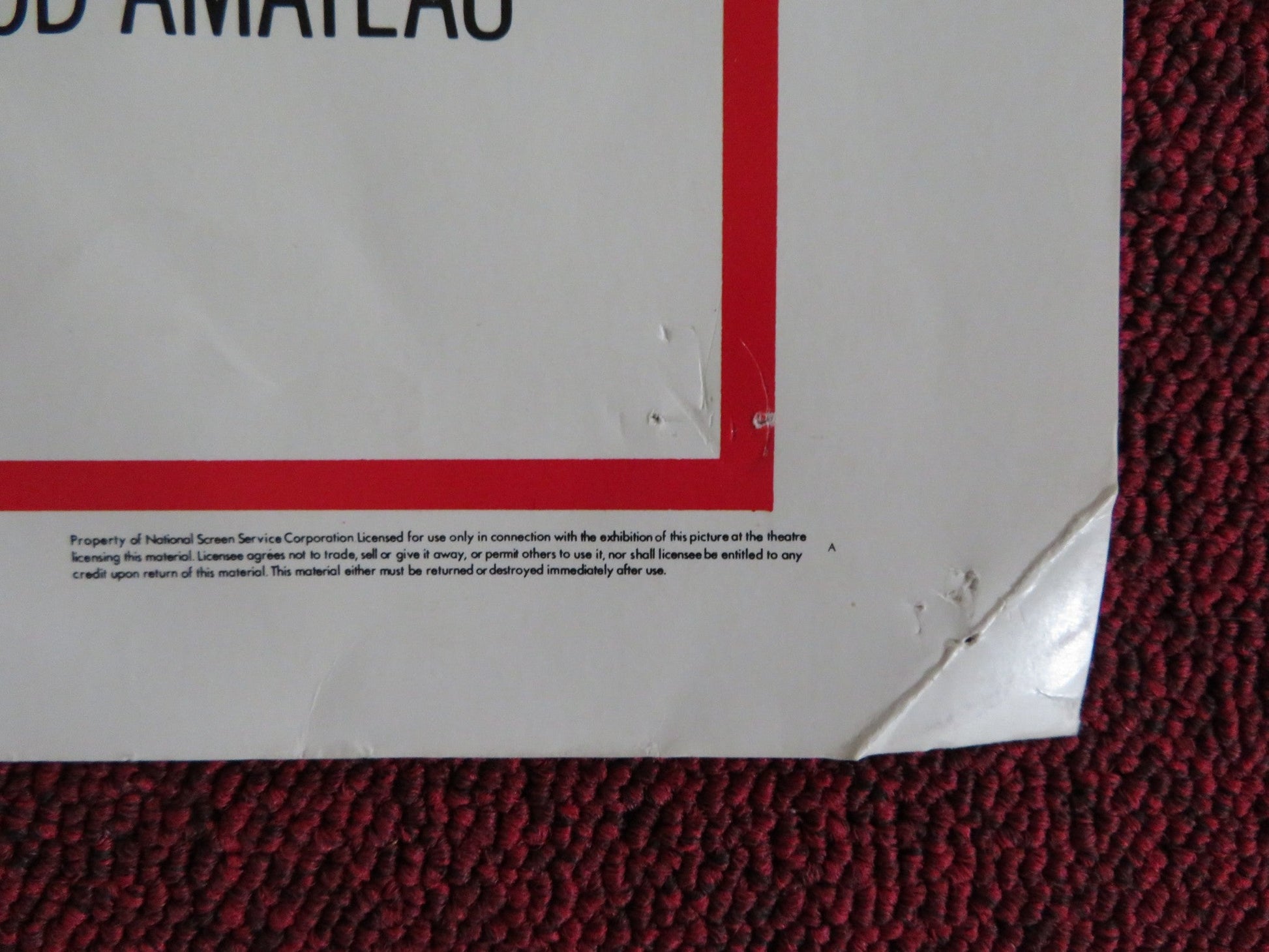 DRIVE - IN US HALF SHEET (22"x 28") POSTER LISA OZ GARY LEE CAVAGNARO 1976 Rendezvous Cinema Movie posters