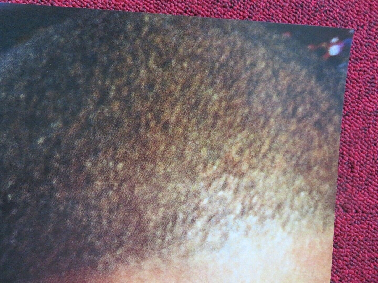 DRUMLINE VERSION A US ONE SHEET ROLLED POSTER NICK CANNON ZOE SALDANA 2002 Movie posters