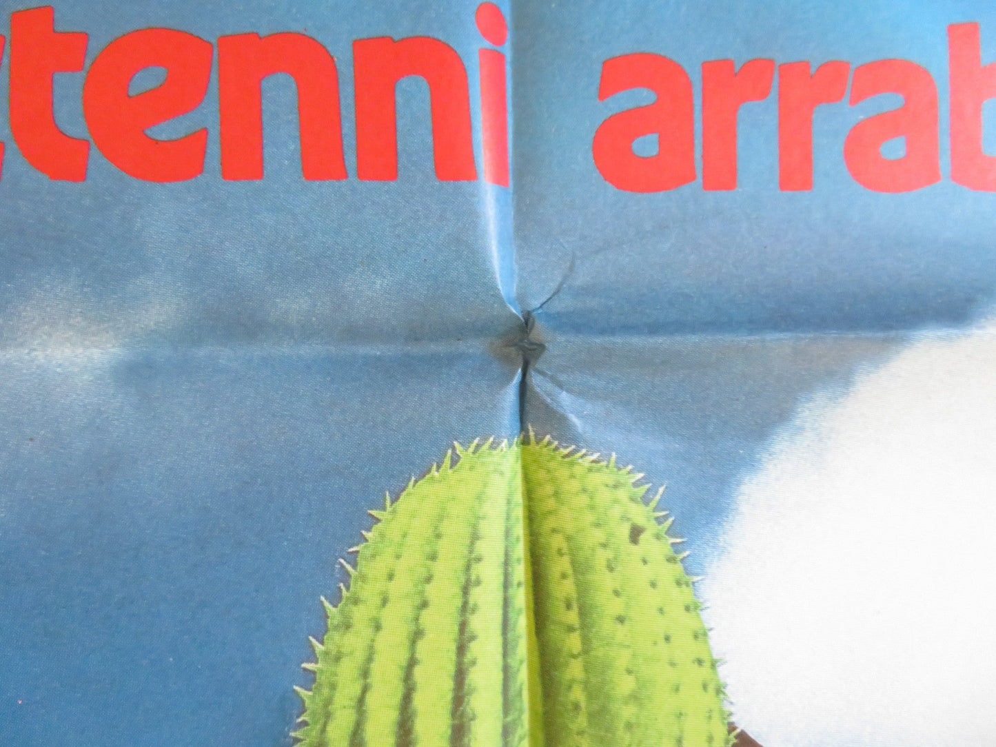 DUDES ITALIAN 2 FOGLIO POSTER JON CRYER FLEA 1987 Rendezvous Cinema Movie posters