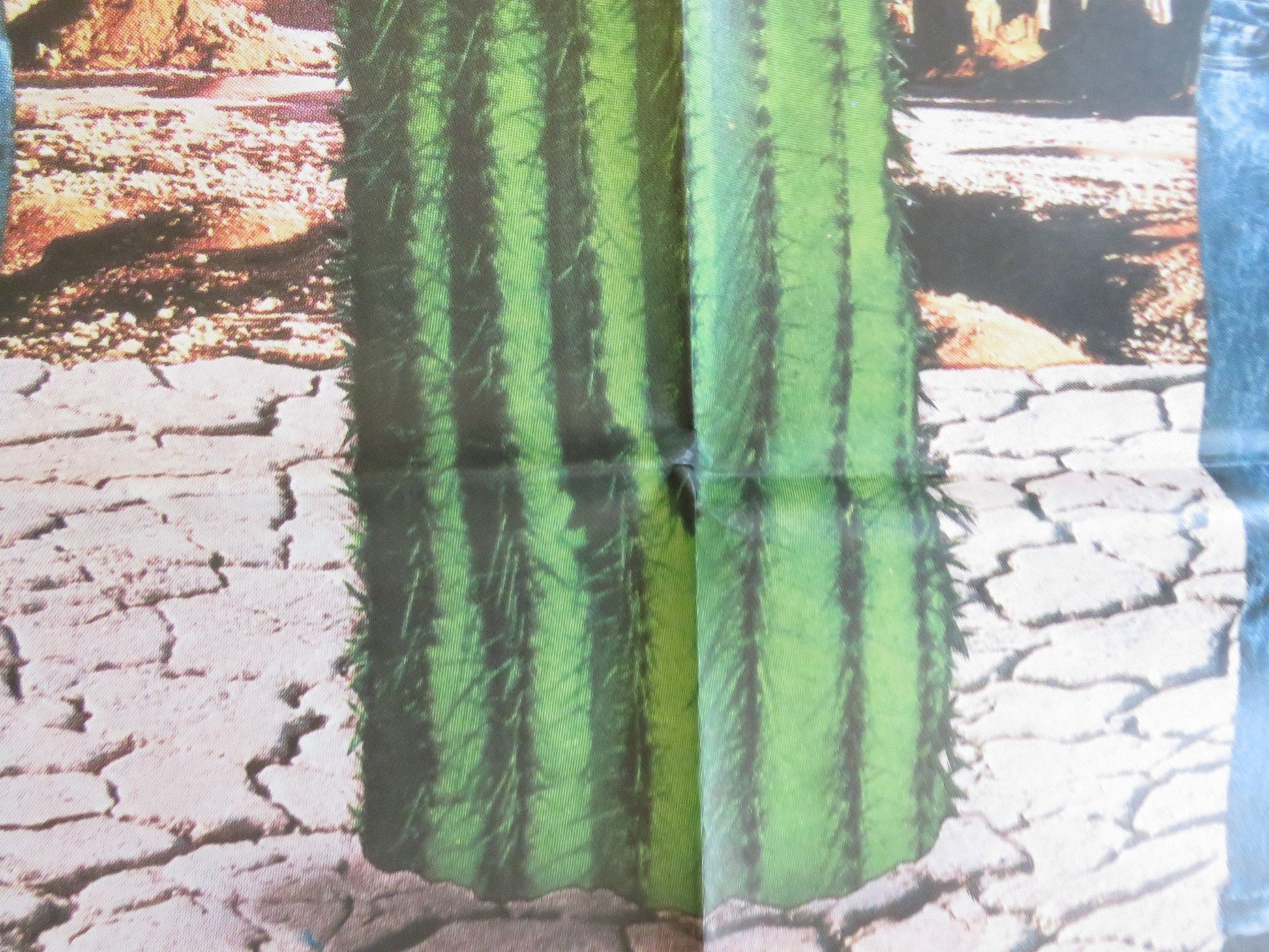 DUDES ITALIAN 2 FOGLIO POSTER JON CRYER FLEA 1987 Rendezvous Cinema Movie posters