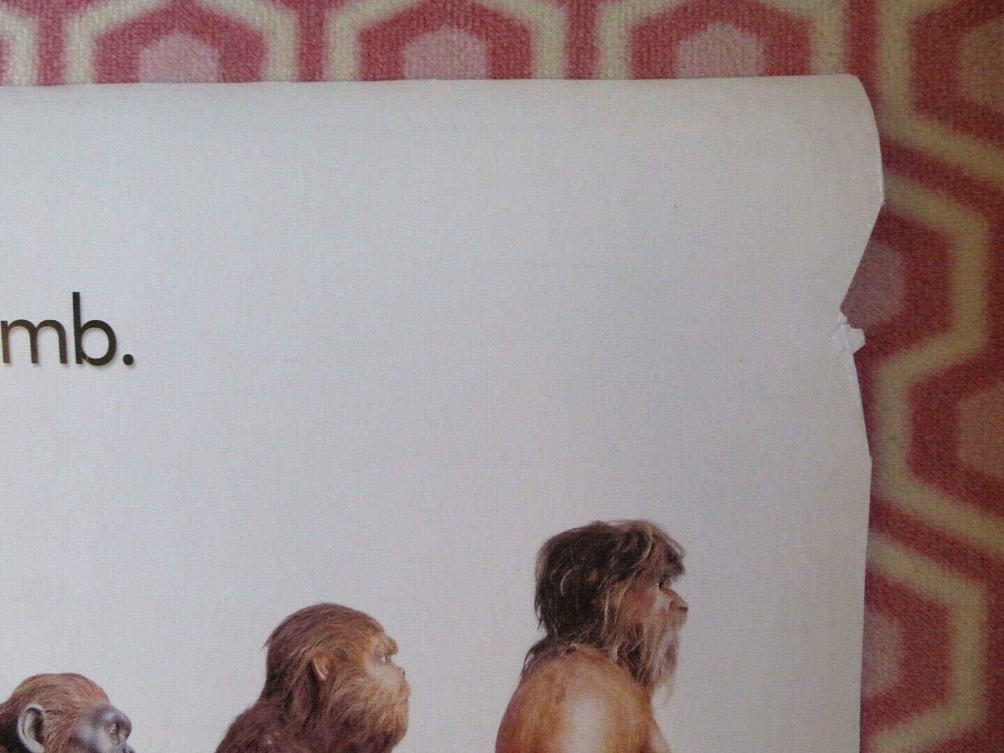 DUMB AND DUMBERER US ONE SHEET ROLLED POSTER JIM CARREY 2003 Rendezvous Cinema Movie posters