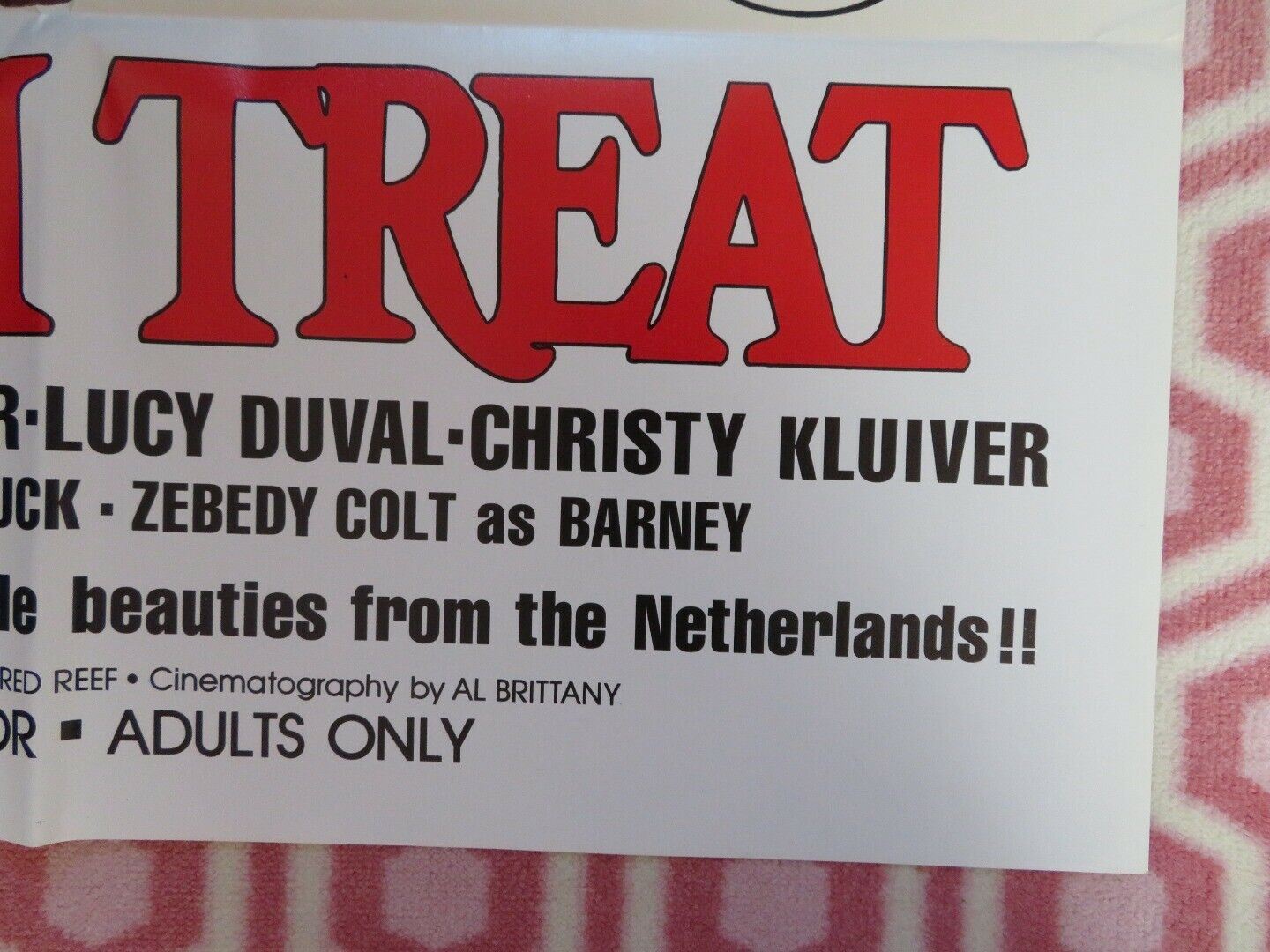 DUTCH TREAT (38" x 25") ADULT FOLDED US ONE SHEET POSTER CARRAH MAJOR 1977 Movie posters