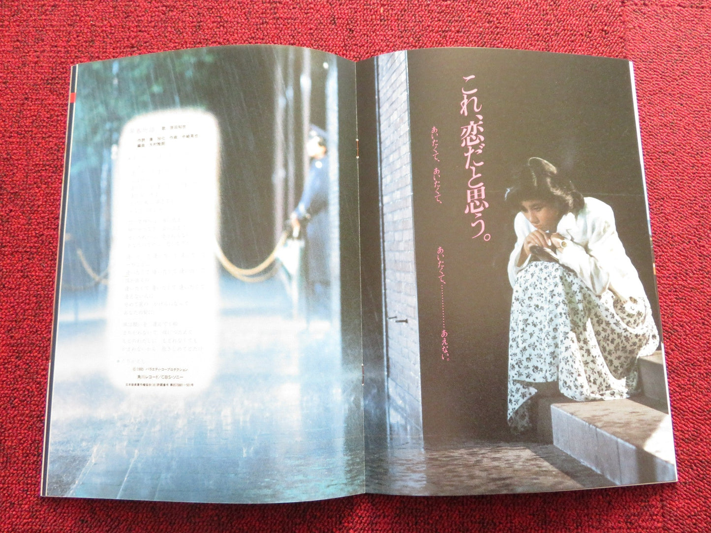 EARLY SPRING STORY JAPANESE BROCHURE / PRESS BOOK T.HARADA RYUZO HAYASHI 1985 Rendezvous Cinema Movie posters