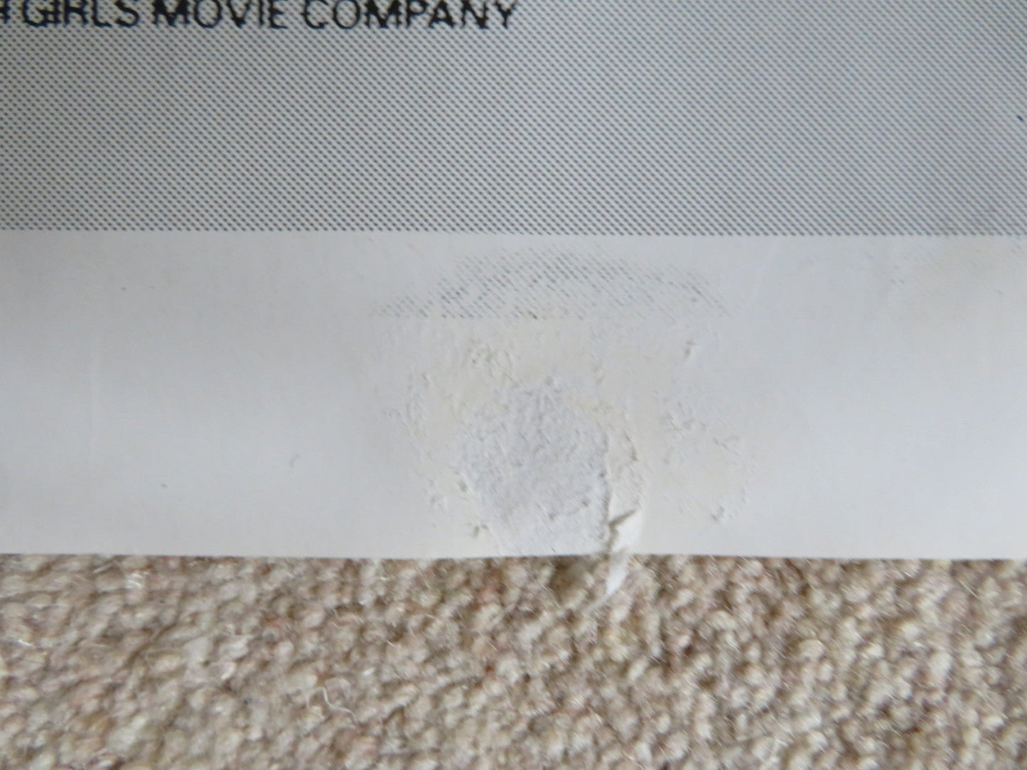 EARTH GIRLS ARE EASY ITALIAN 2 FOGLIO POSTER JEFF GOLDBLUM J. CAREY G.DAVIS 1988 Rendezvous Cinema Movie posters