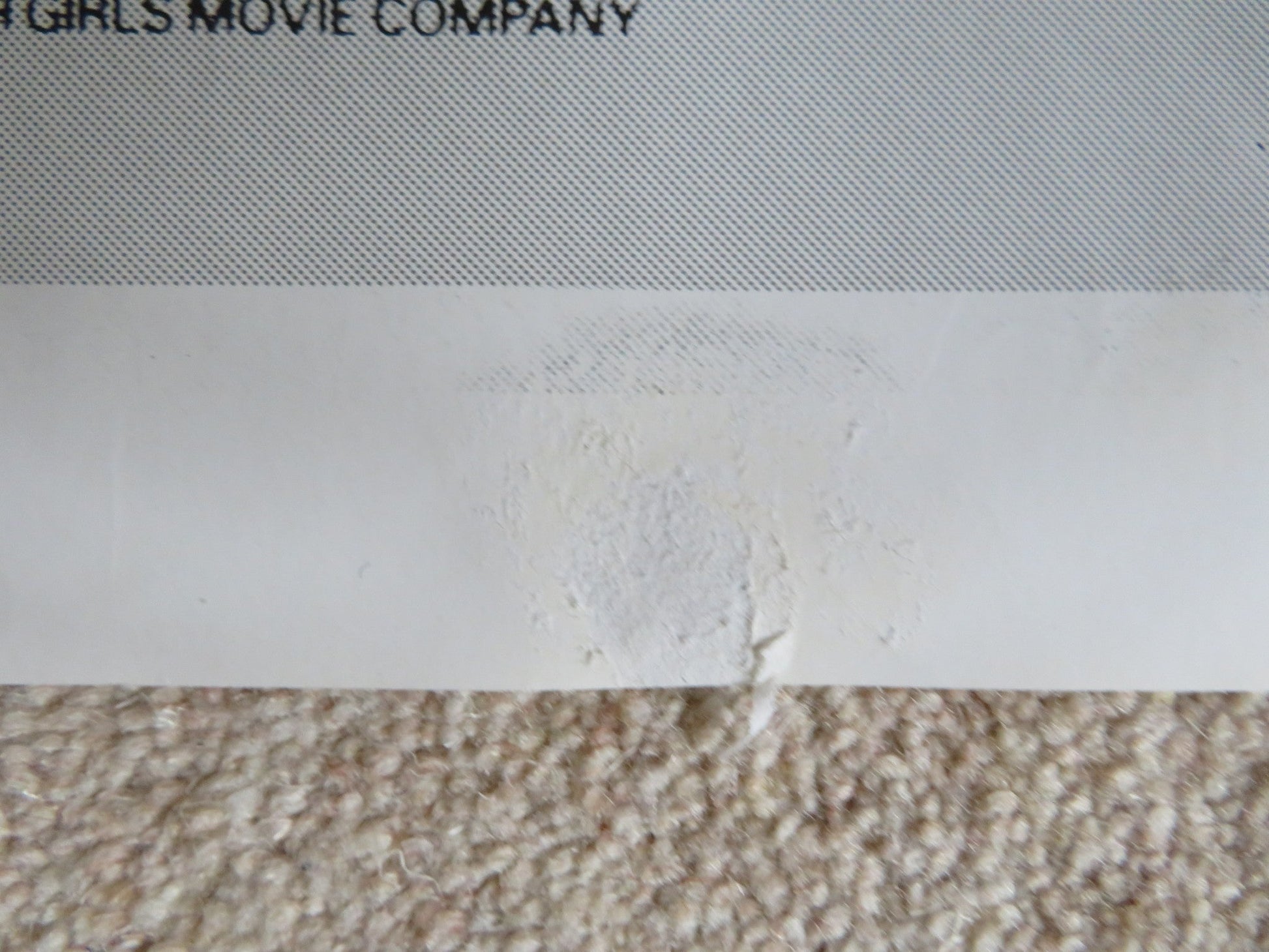 EARTH GIRLS ARE EASY ITALIAN 2 FOGLIO POSTER JEFF GOLDBLUM J. CAREY G.DAVIS 1988 Rendezvous Cinema Movie posters