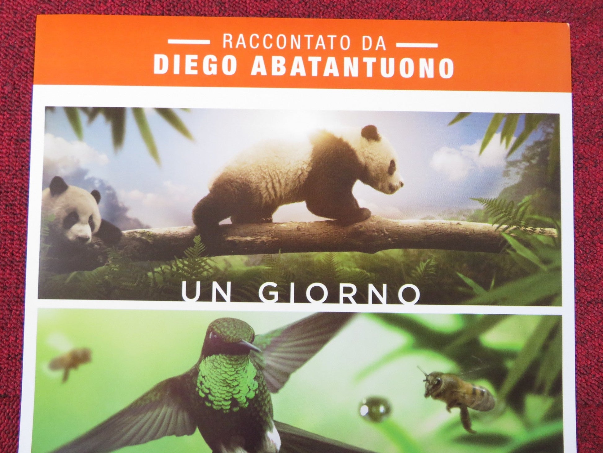 EARTH: ONE AMAZING DAY ITALIAN LOCANDINA POSTER ROBERT REDFORD JACKIE CHAN 2017 Rendezvous Cinema Movie posters