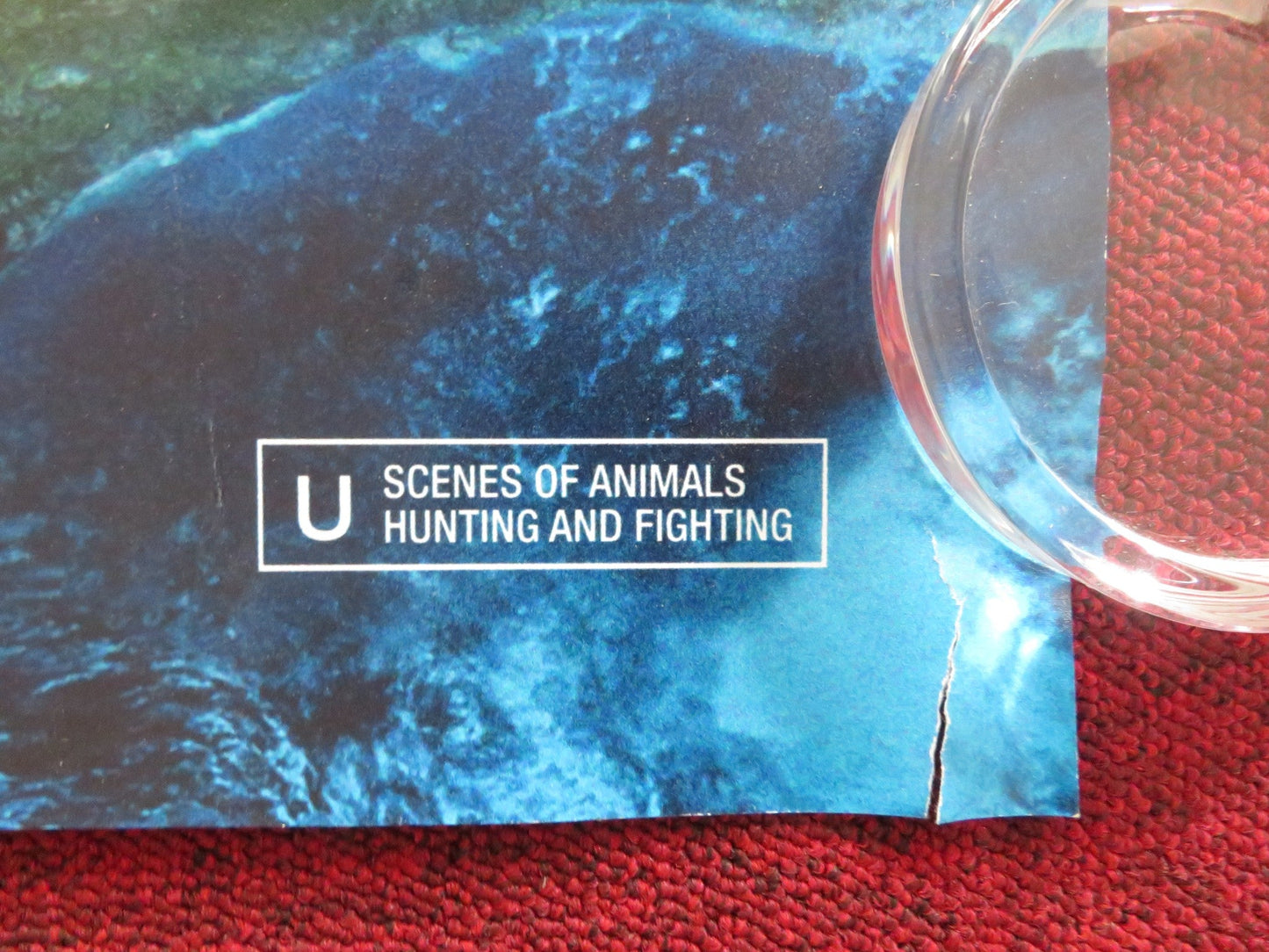 EARTH: ONE AMAZING DAY UK QUAD (30"x 40") ROLLED POSTER ROBERT REDFORD 2017 Rendezvous Cinema Movie posters