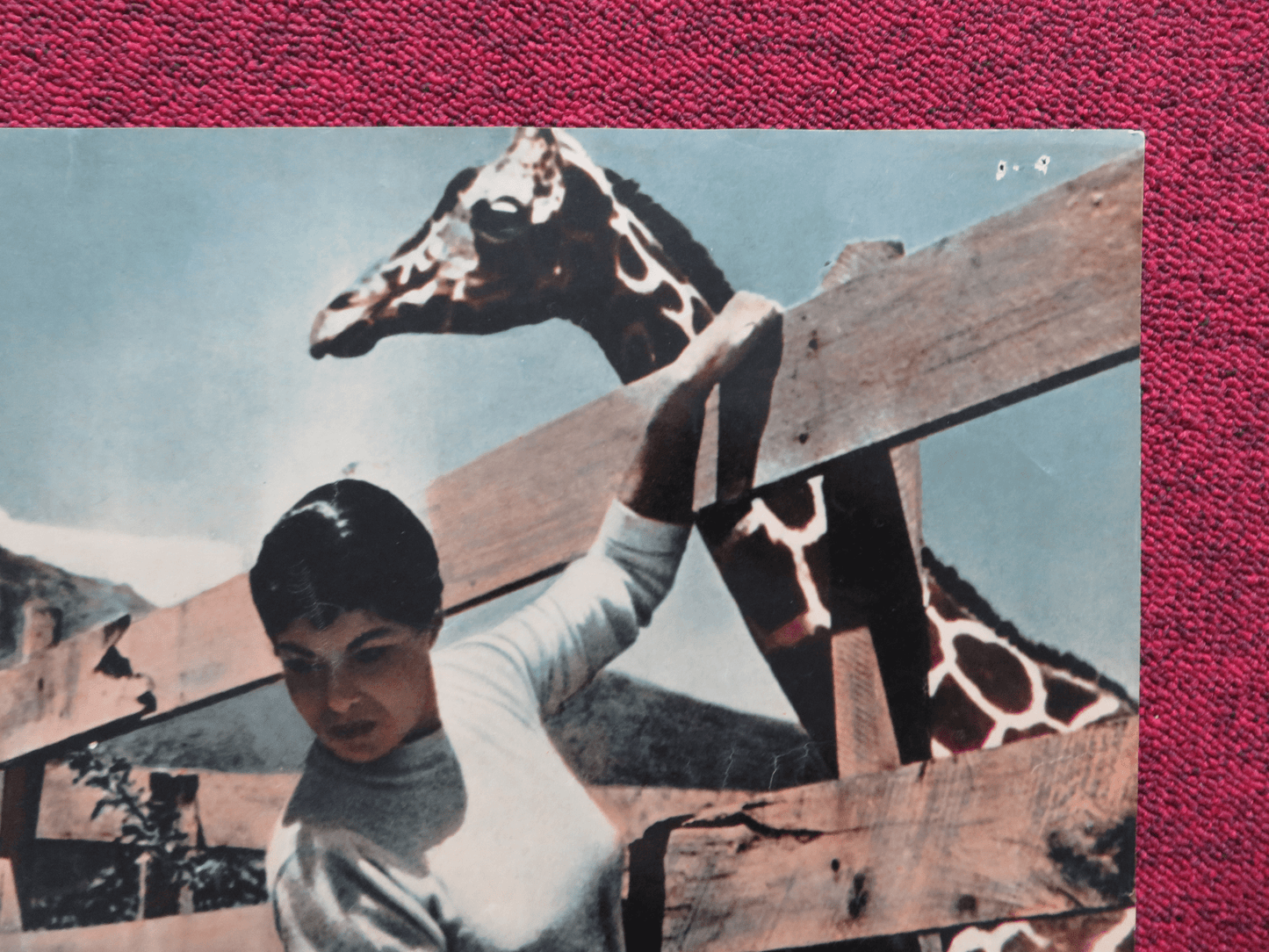 EAST OF KILIMANJARO ITALIAN FOTOBUSTA POSTER MARSHALL THOMPSON GARY ANDRE 1956 Rendezvous Cinema Movie posters